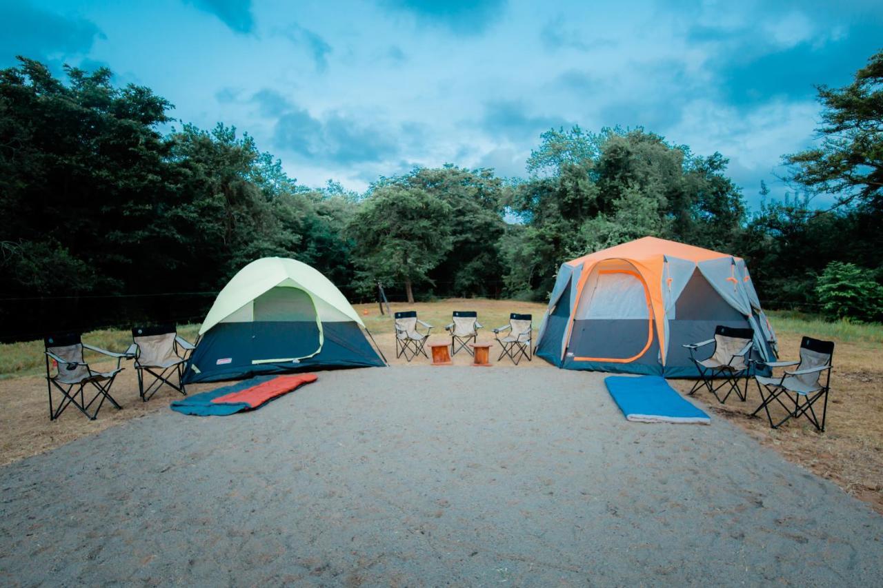Hotel Kayjay Wild Wilpattu Nationalpark Exterior foto