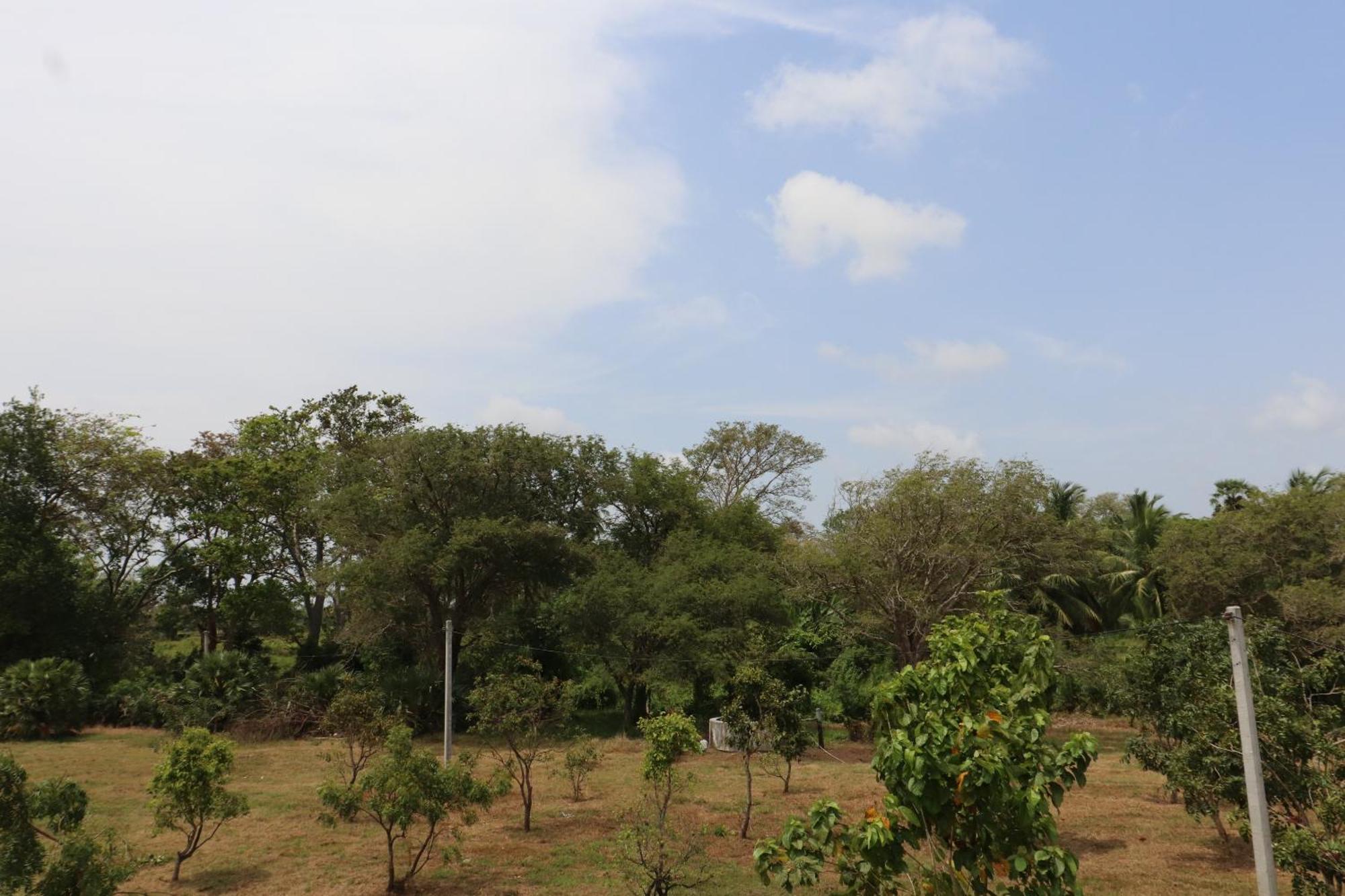 Hotel Kayjay Wild Wilpattu Nationalpark Exterior foto