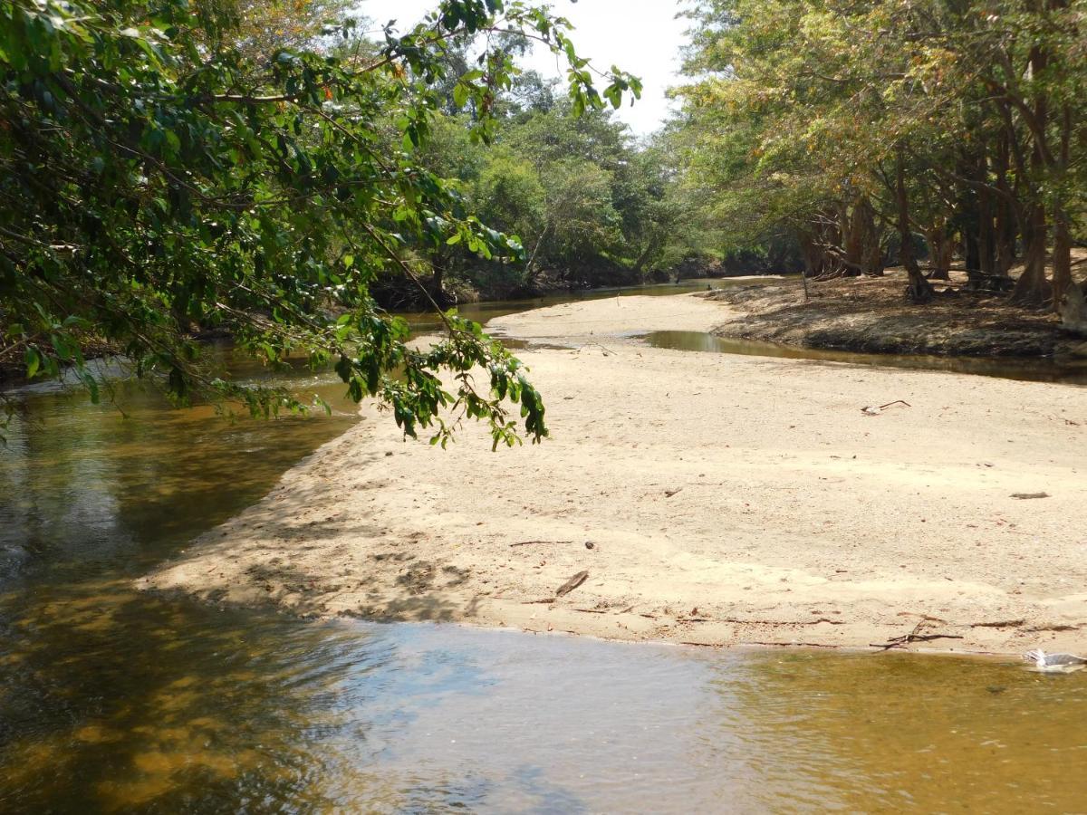 Hotel Kayjay Wild Wilpattu Nationalpark Exterior foto